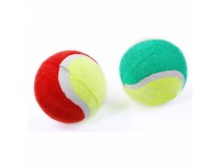 Coppia di palline da tennis