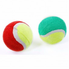 Coppia di palline da tennis