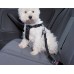 Guinzaglio e collare multifunzione per cani con attacco per cintura di sicurezza dell'automobile